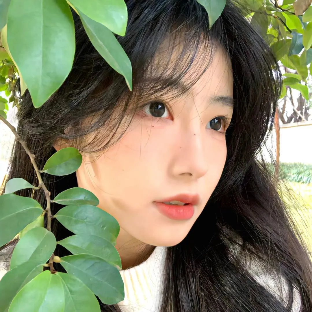 盲拳怪招粤语